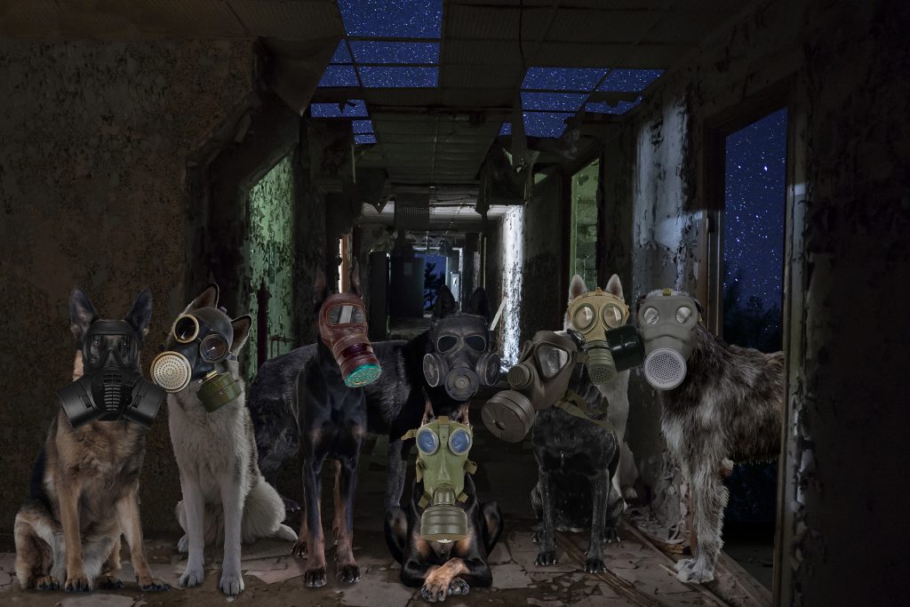 The Dog Army, Aluminum Print, 4 ft x 6 ft, 2018