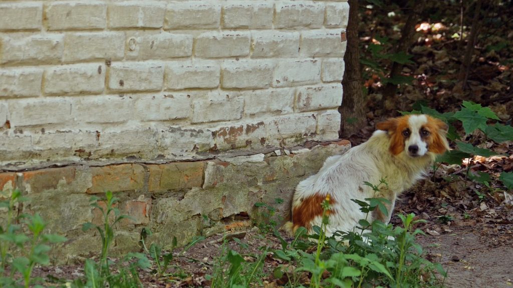 Mama in the Self Settler Village